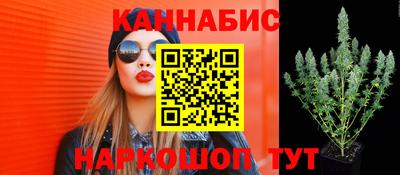 мдпв Коломна