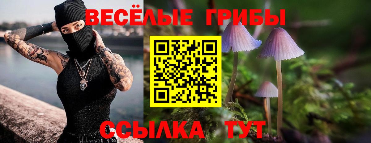 Галлюциногенные грибы Cubensis  Вход с VPN  Минусинск 